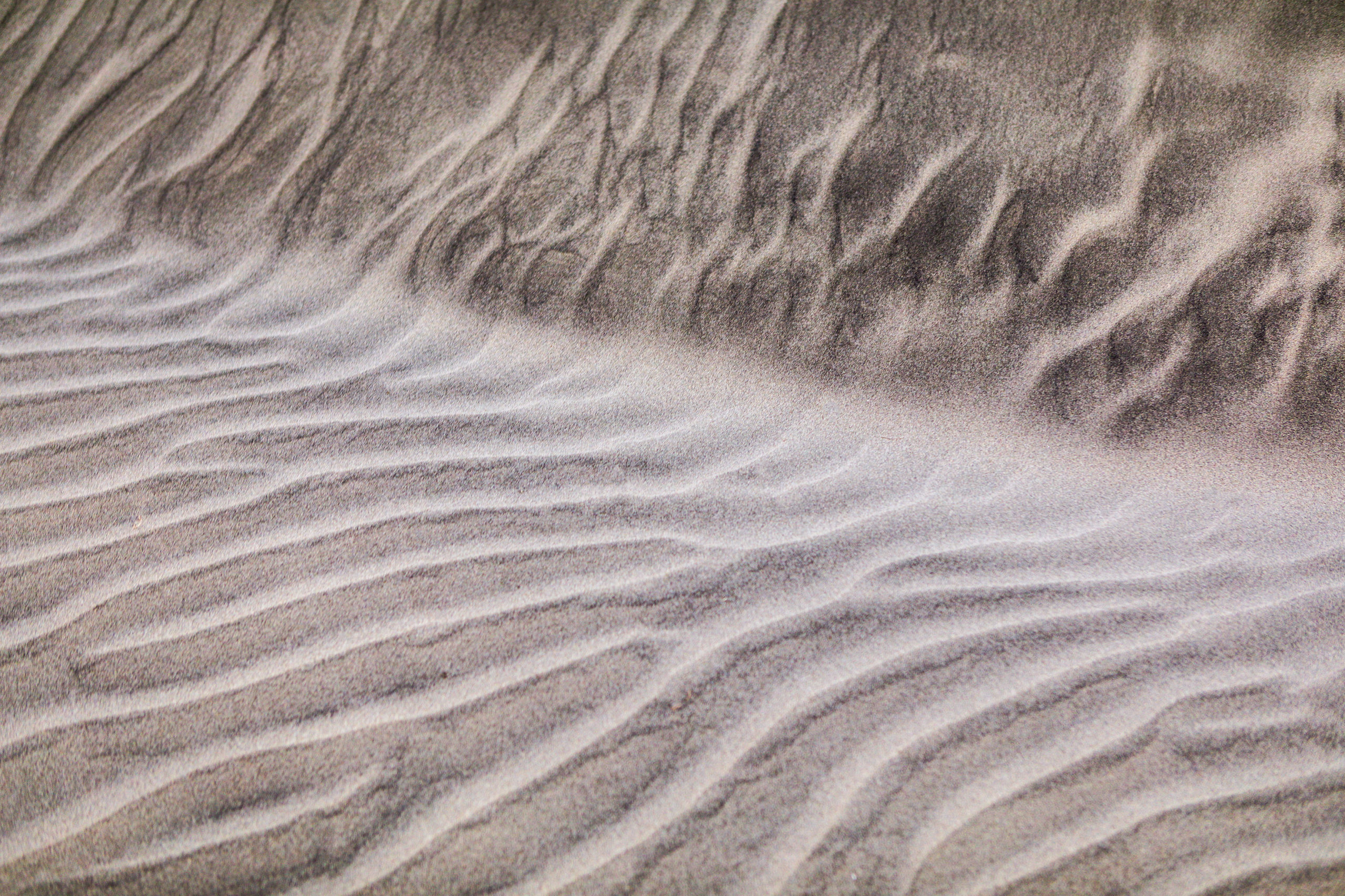 GUERRERO NEGRO DUNES, BAJA