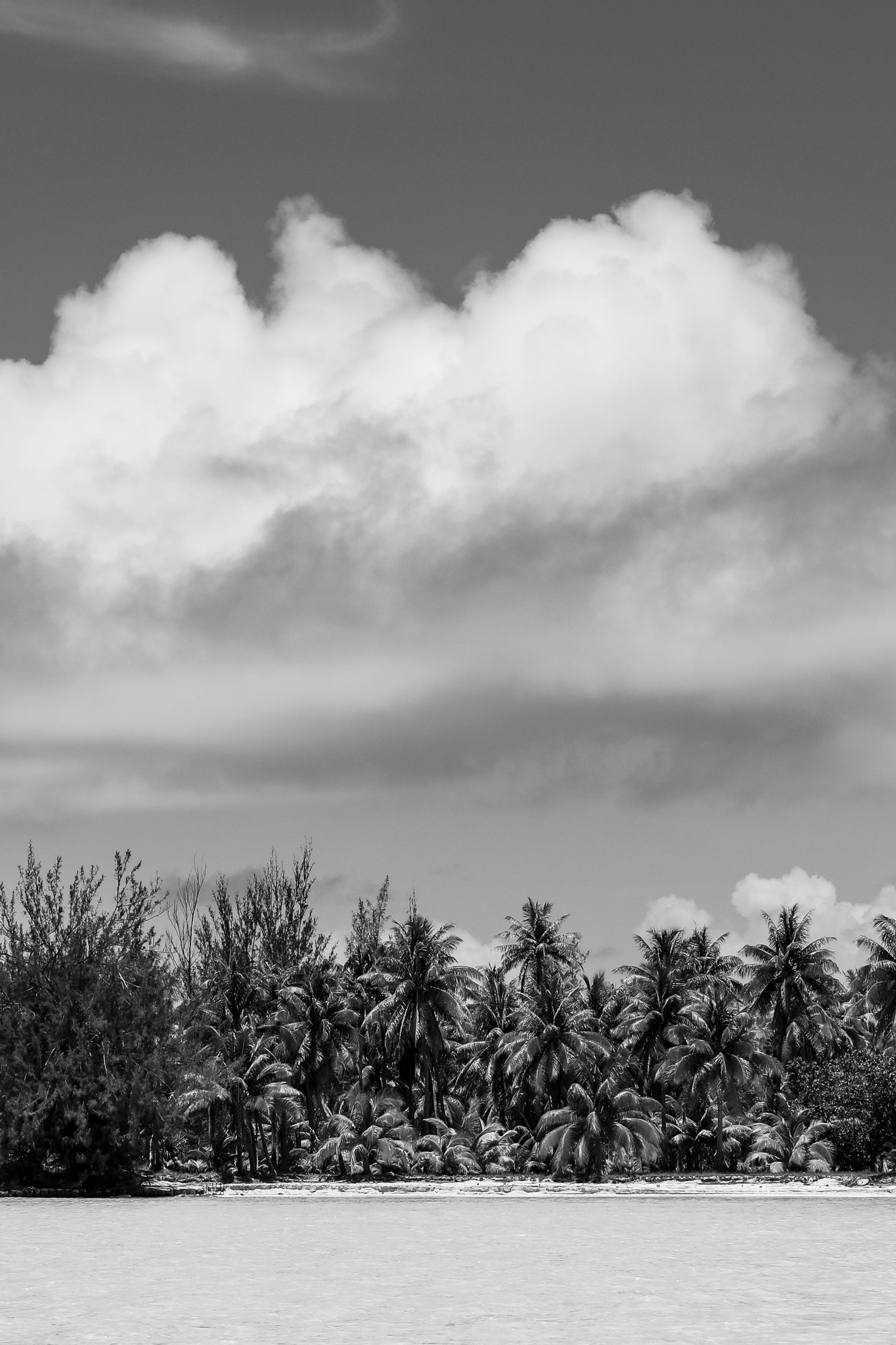 LUSH MOTU, POLYNESIA