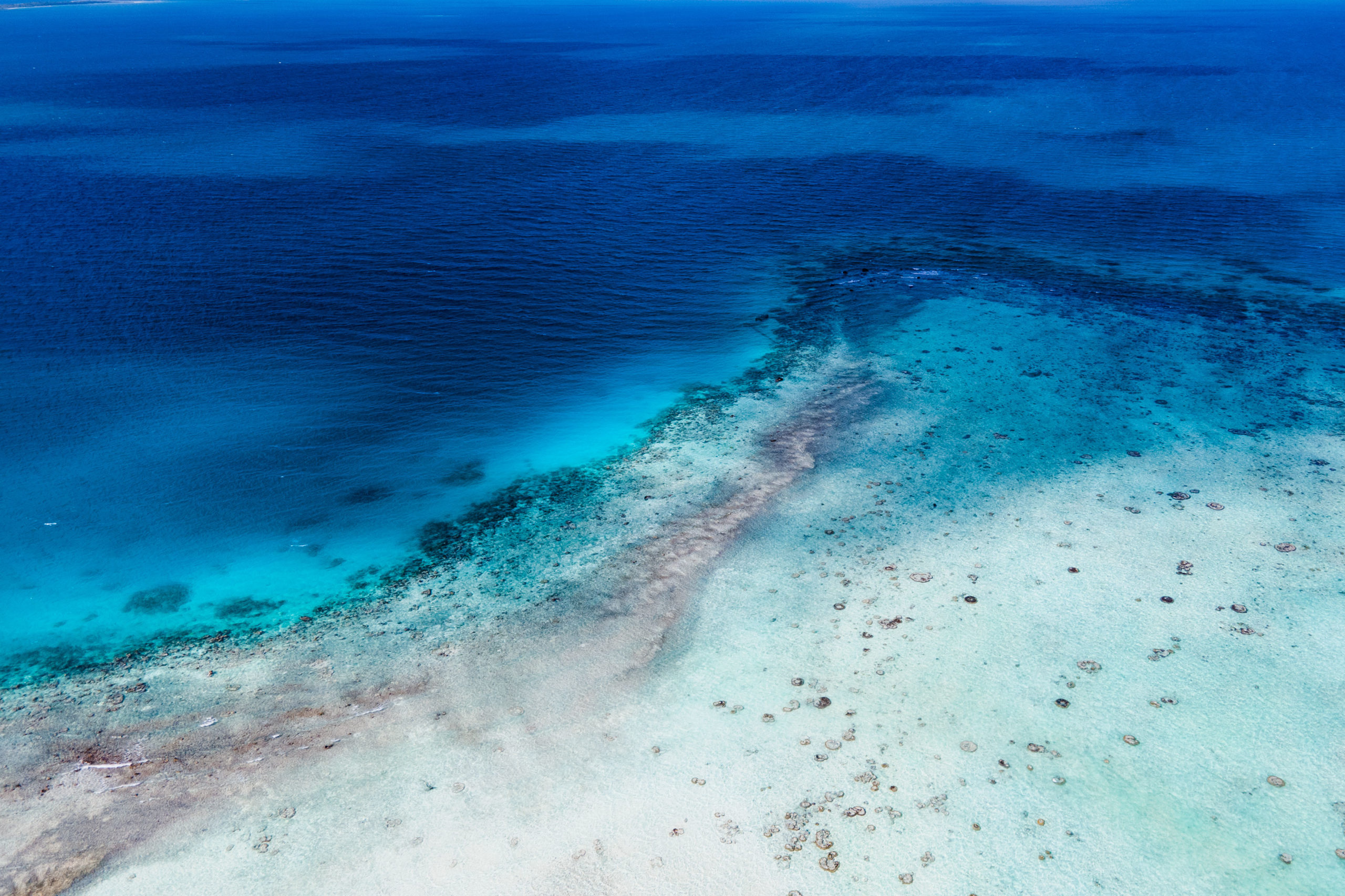 REEF, SOUTH PACIFIC