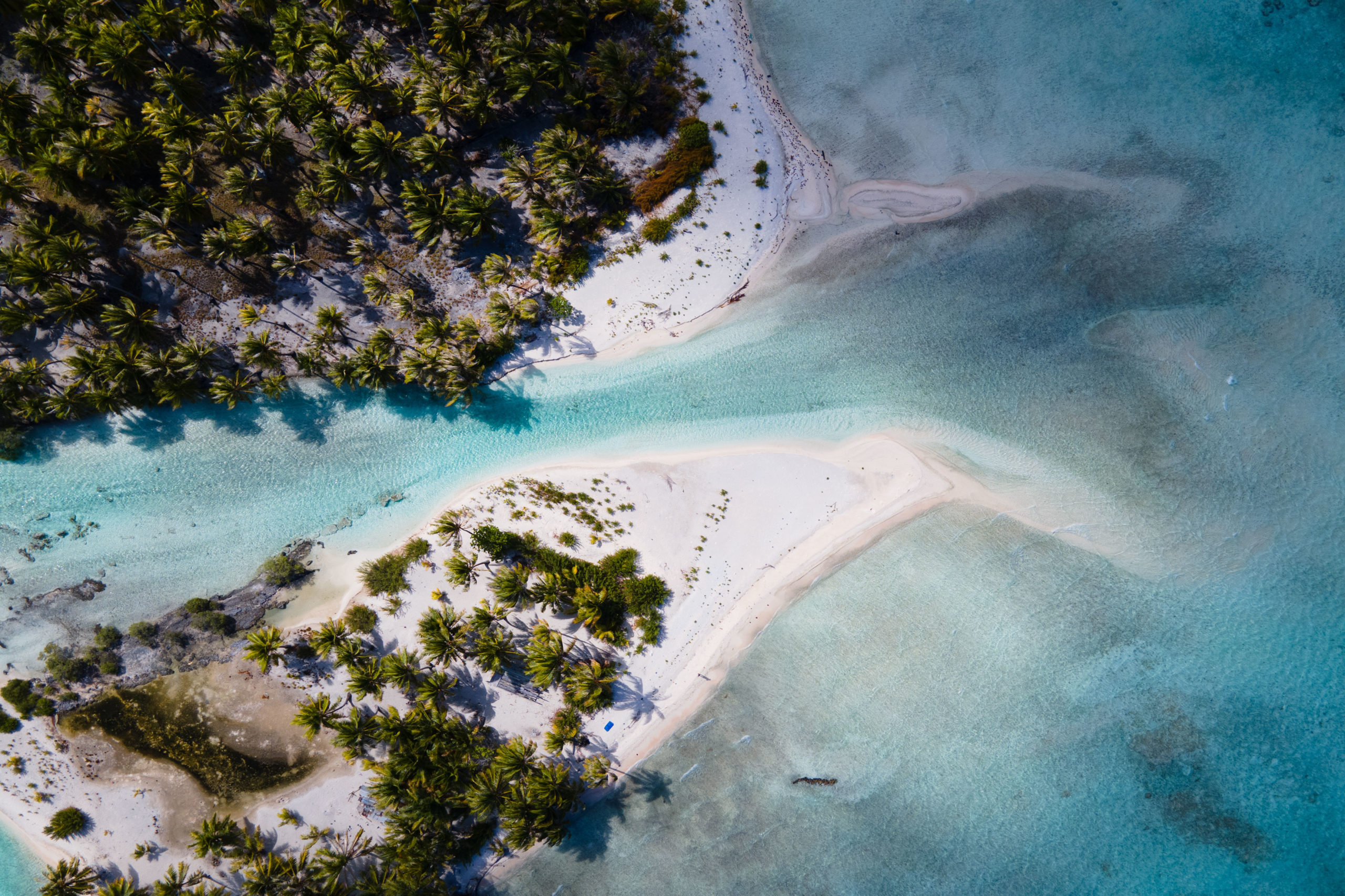 SANDBANK, TUAMOTUS SANDBANK, TUAMOTUS