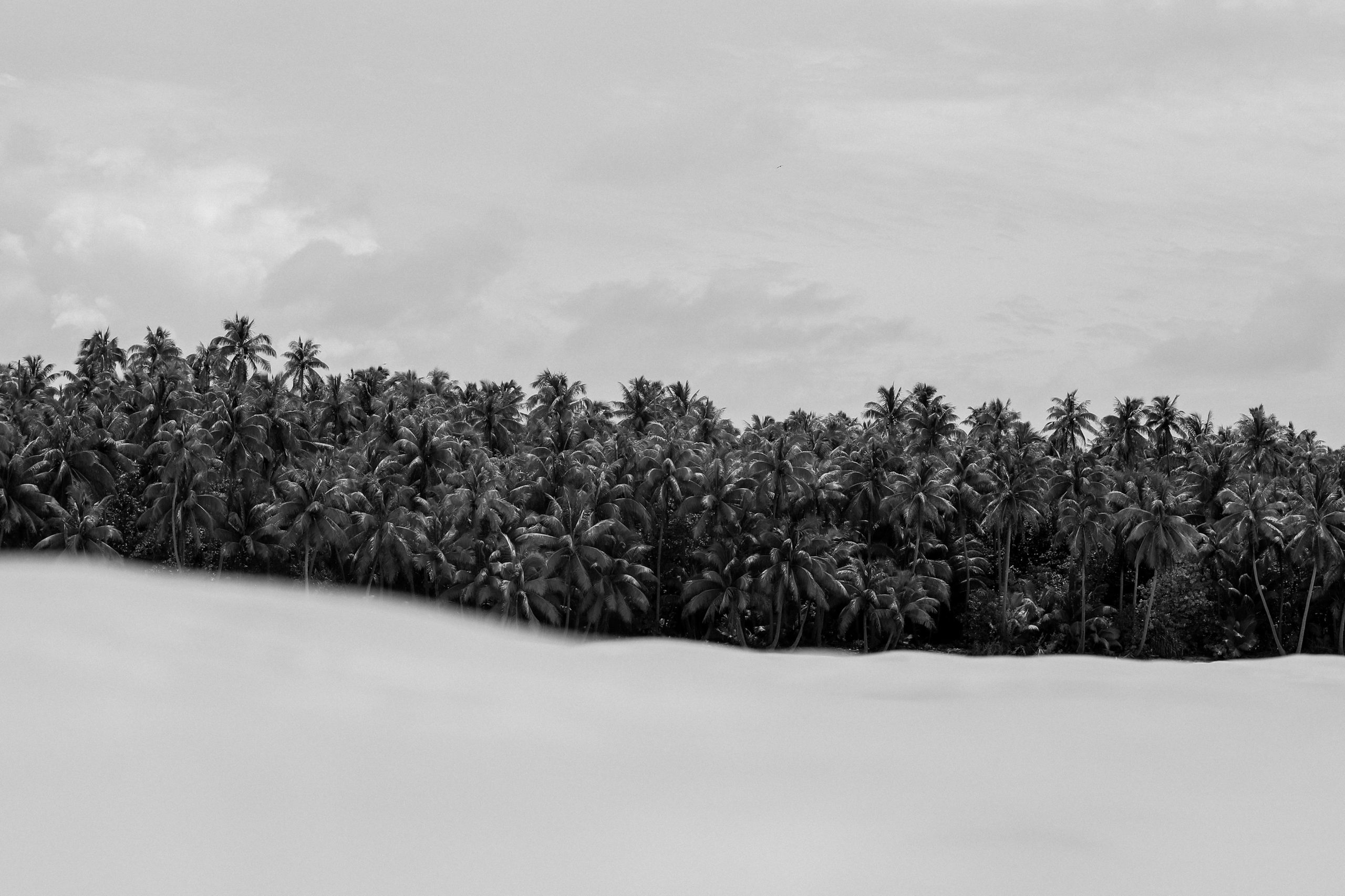 TETIAROA JUNGLE