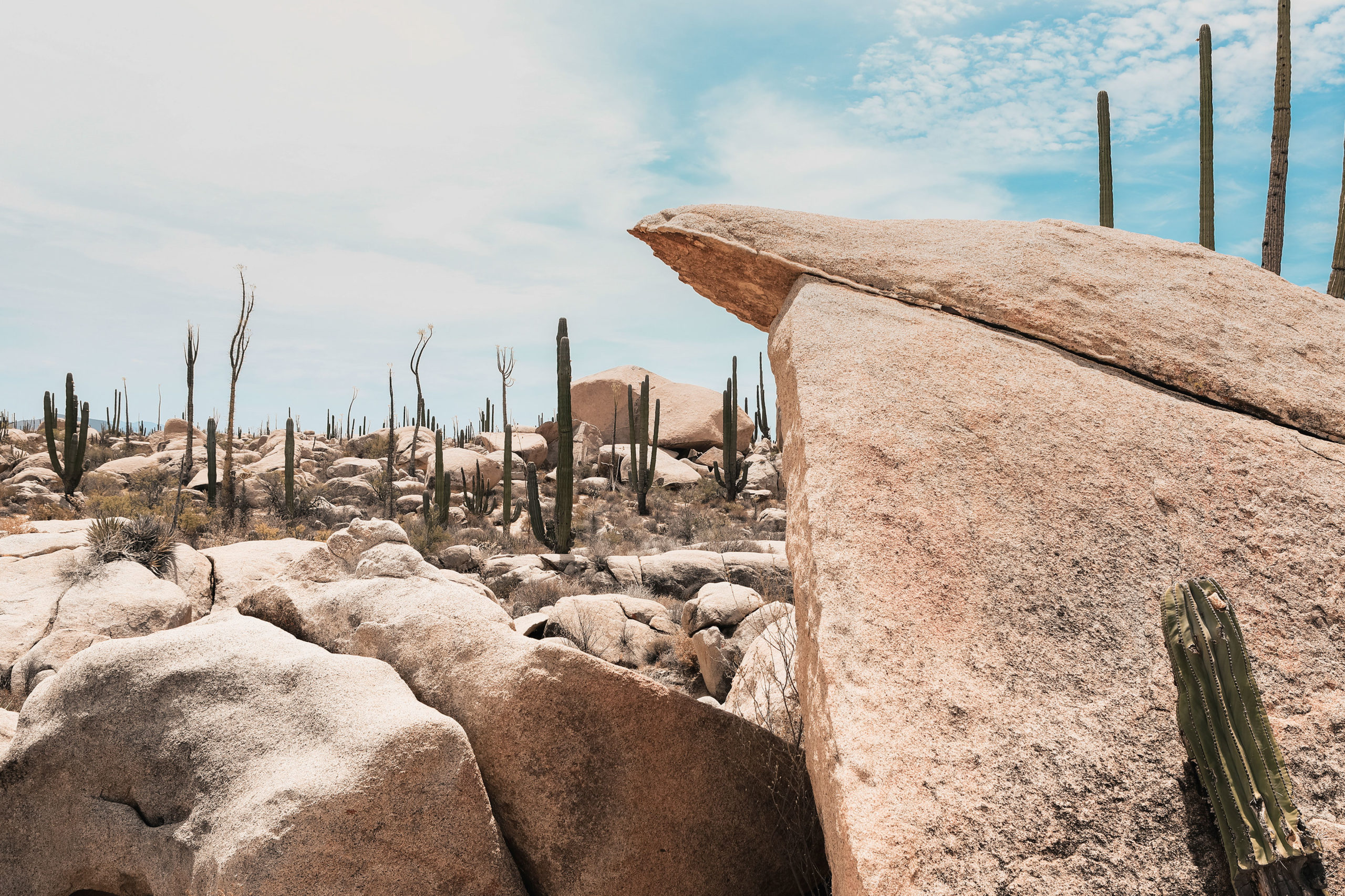 ROCKS, VALLE DE LOS CIRIOS