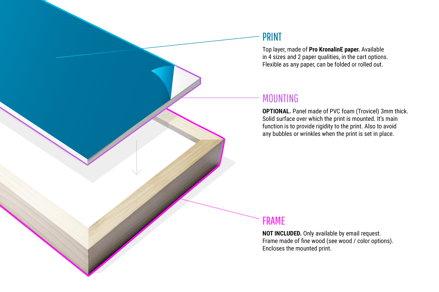 GUERRERO NEGRO DUNES, BAJA