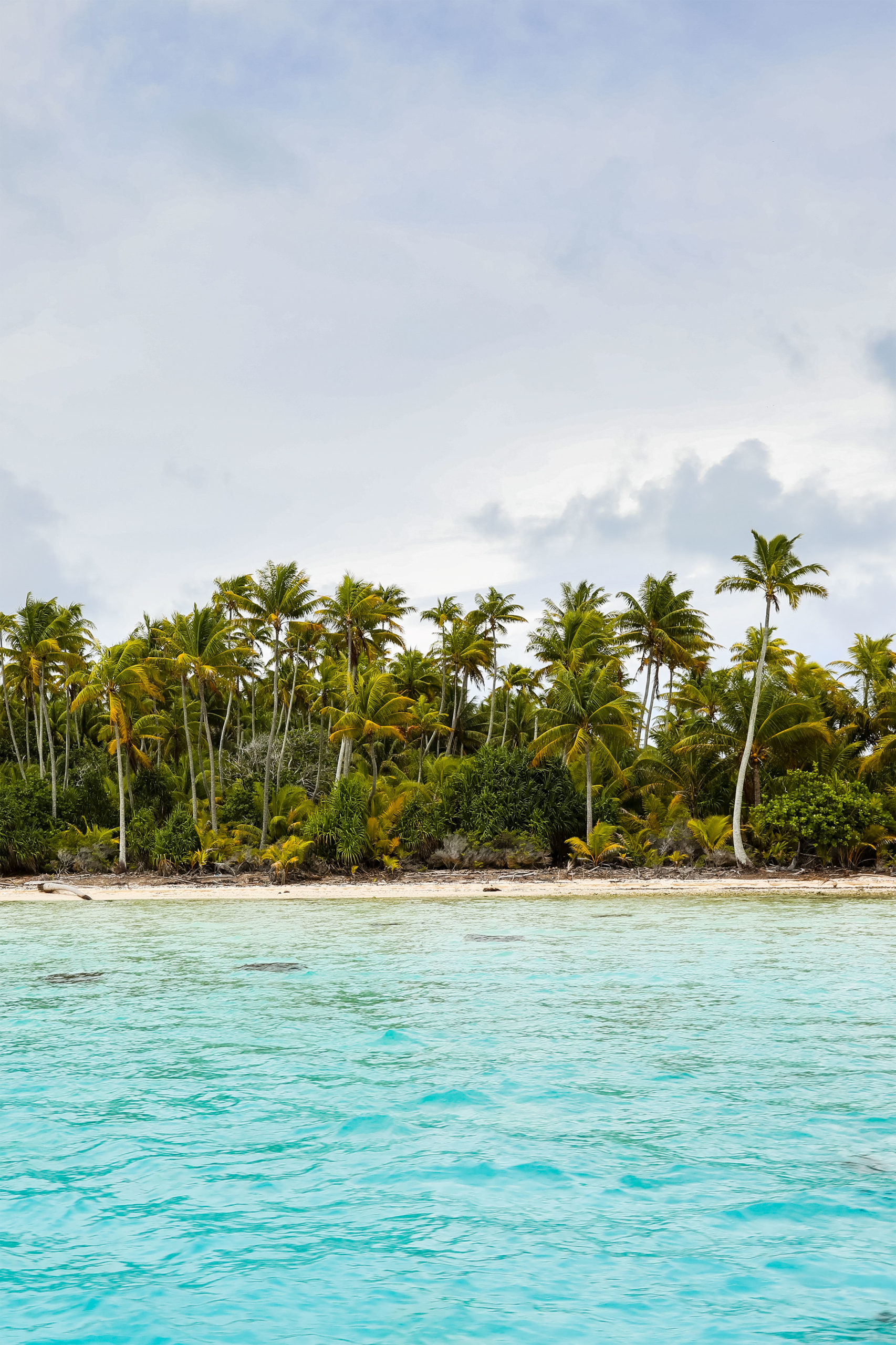 ISLAND LIVING ISLAND LIVING