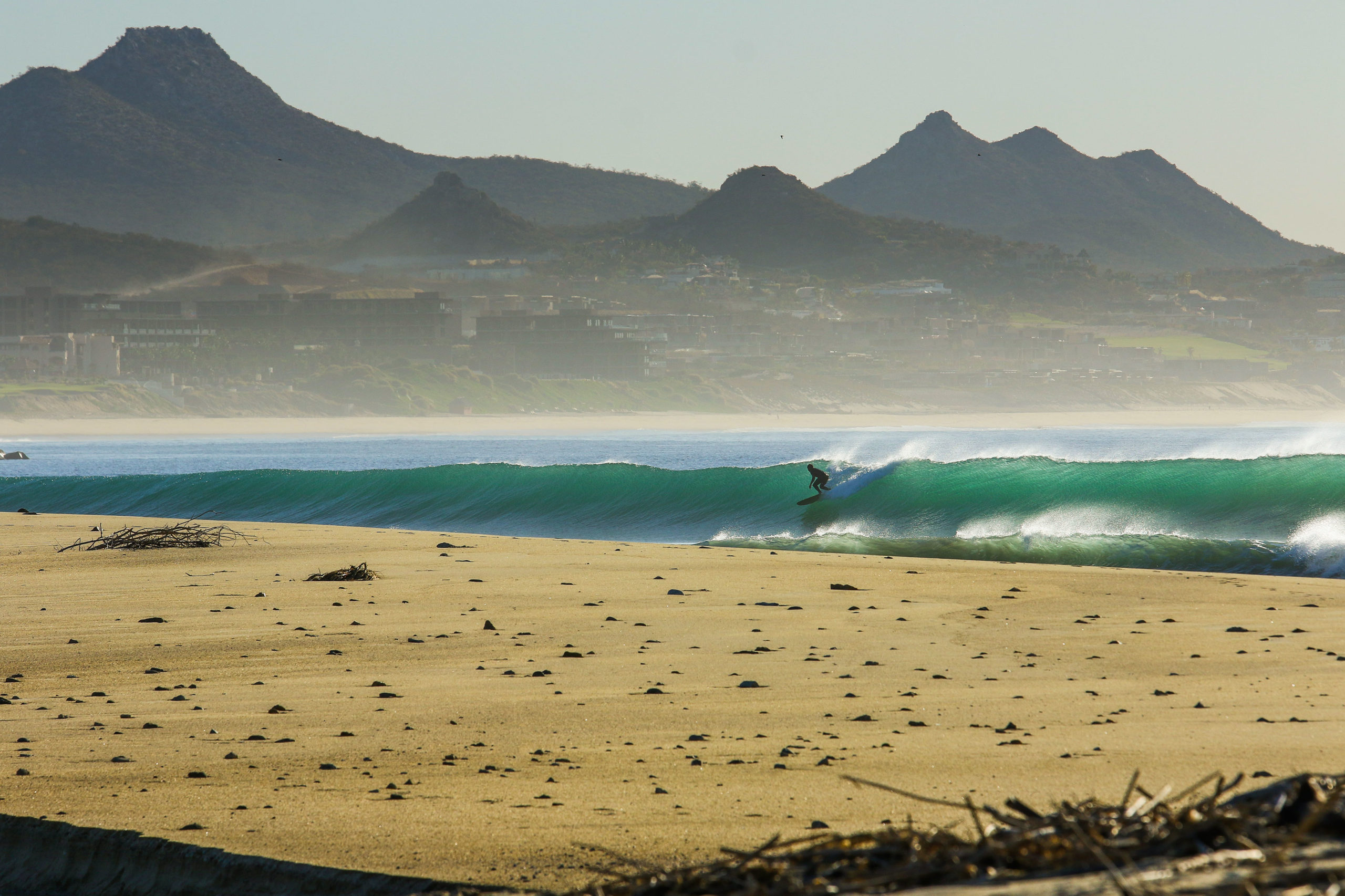MORNING GLASS, SAN JOSE DEL CABO MX MORNING GLASS, SAN JOSE DEL CABO MX
