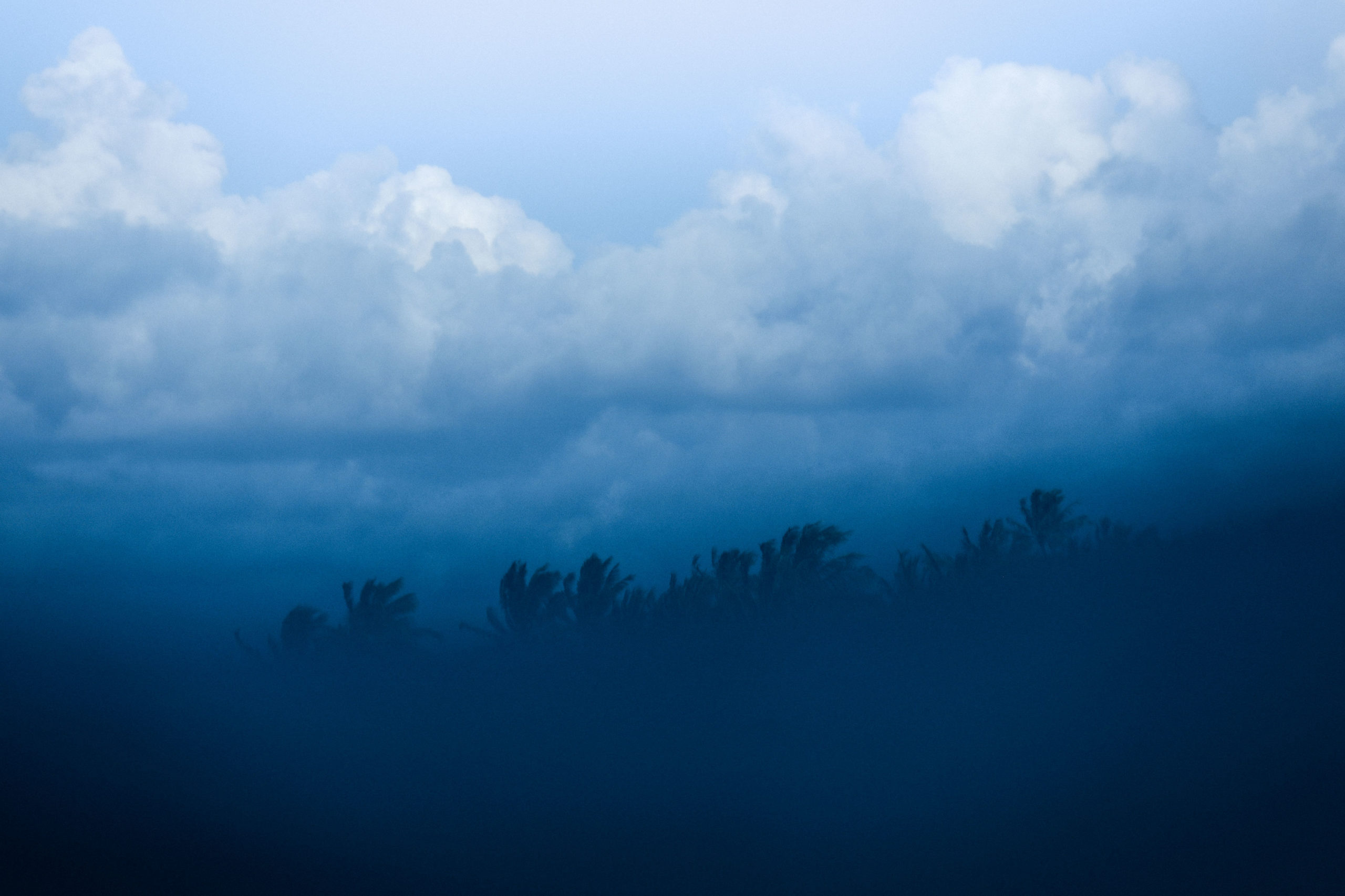 PACIFIC TRADES PACIFIC TRADES