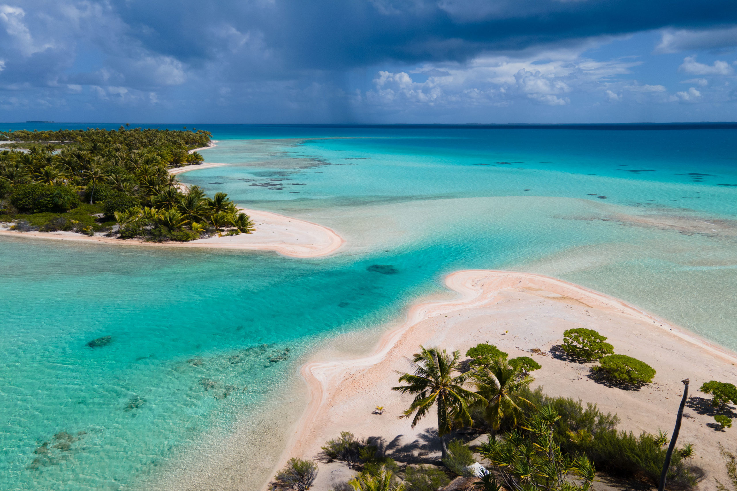 POSTCARDS FROM PARADISE